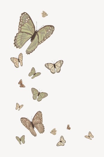 Butterfly border background, vector | Free Vector Illustration - rawpixel