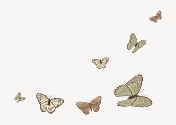 Butterfly border background, vector | Free Vector Illustration - rawpixel