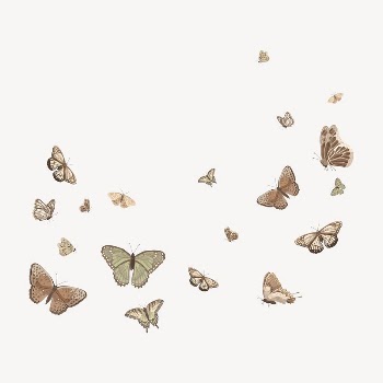 Butterfly border background, vector | Free Vector Illustration - rawpixel