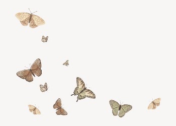 Butterfly border, off white background, | Free Vector Illustration - rawpixel