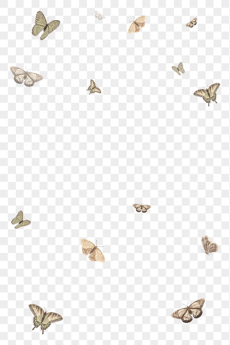 Butterfly border png sticker illustration, | Free PNG - rawpixel