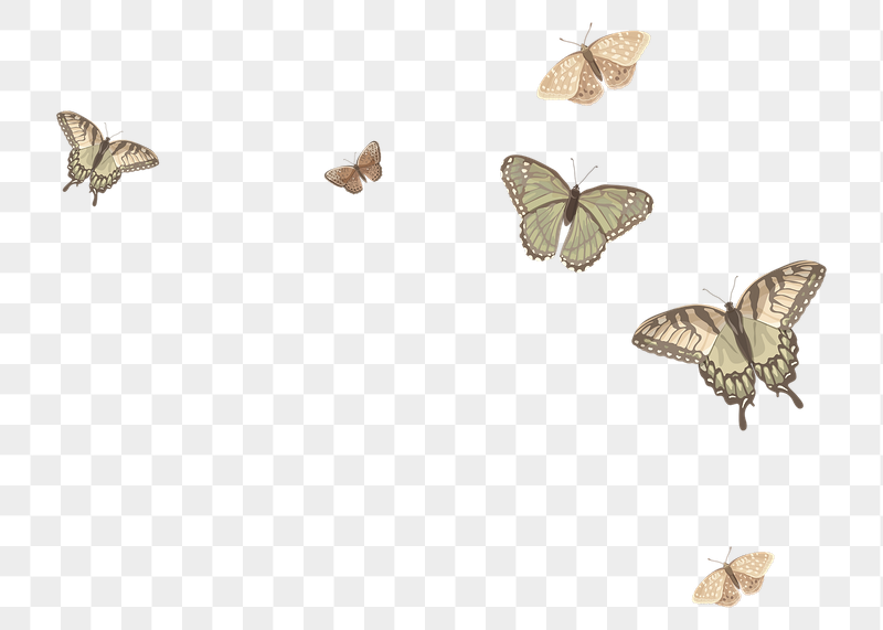 Butterfly border png sticker illustration, | Free PNG - rawpixel