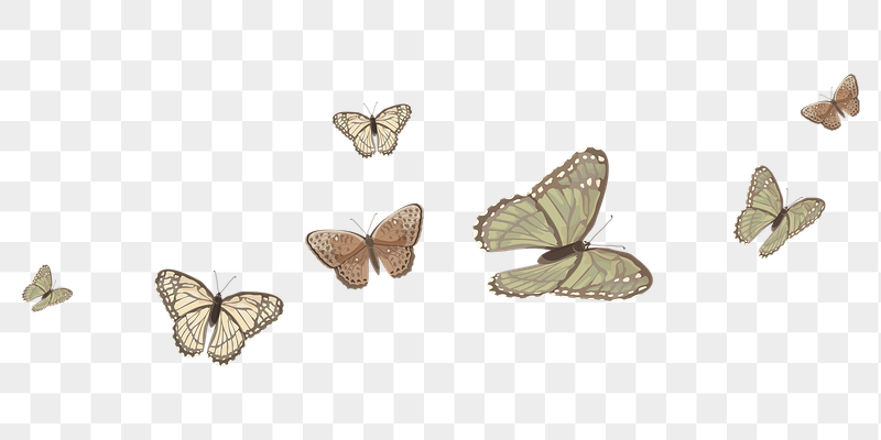 Butterfly border png sticker illustration, | Free PNG - rawpixel