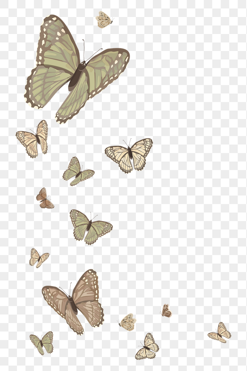 Butterfly border png sticker illustration, | Free PNG - rawpixel