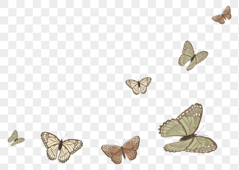 Butterfly border png sticker illustration, | Free PNG - rawpixel
