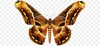 Butterfly Brown Greta oto Clip art - Beautiful Brown Butterfly PNG Clipart Image 