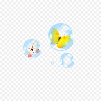 Butterfly - Bubble Butterfly 