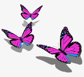 Butterfly Butterflies Mariposa Ftestickers Stickers - Butterfly ...