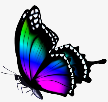 Butterfly - Butterfly Png Hd Colors Transparent PNG - 5000x4488 ...