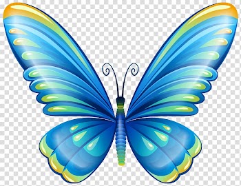 Butterfly , butterfly watercolor transparent background PNG clipart