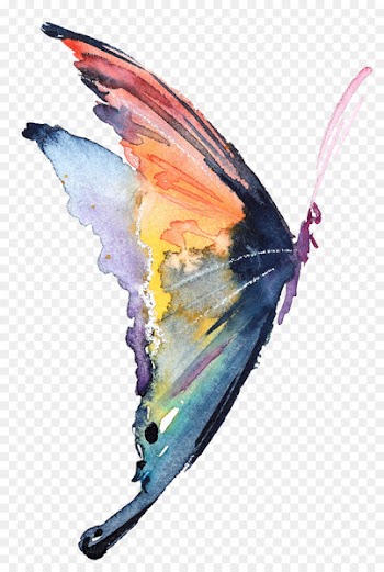 Butterfly Carolynn's Reflexology Watercolor painting Insect - watercolor butterfly 