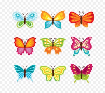 Butterfly Cartoon Download - Vector colorful butterfly 