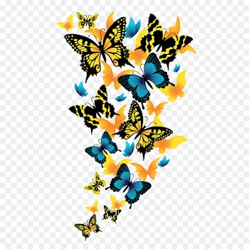 Butterfly Clip art - Butterflies Clipart Picture 
