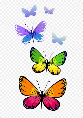 Butterfly Clip art - Butterflies Composition PNG Clipart Image 