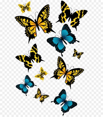 Butterfly Clip art - Butterflies PNG Clipart Picture 