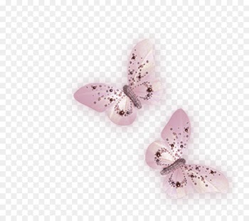 Butterfly Clip art - butterfly 