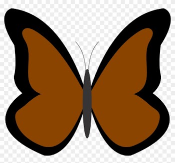 Butterfly Clip Art Butterfly Clipart Graphicsde - Clipart Butterfly Different Color