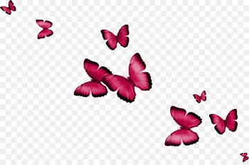 Butterfly Clip art - Colorful butterfly 