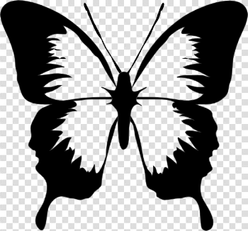 BUTTERFLY CLIP ART | Cricut ideas | Butterfly clip art, Butterfly ...