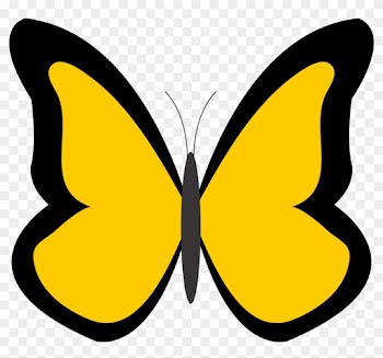 Butterfly Clip Art Free Clip Art Image - Butterfly With Color Clipart