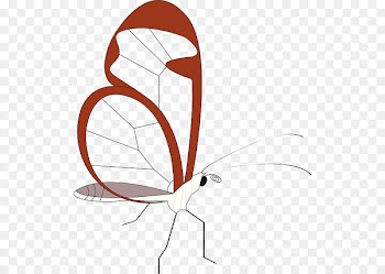 Butterfly Clip art Portable Network Graphics Papillon dog Image - stink flag 
