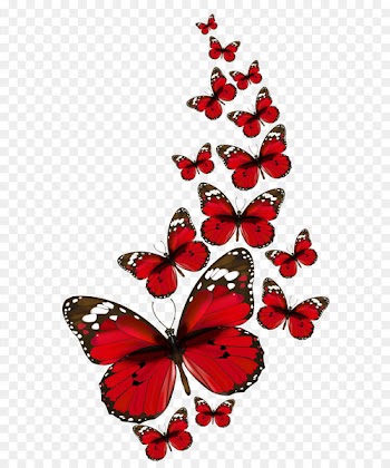 Butterfly Clip art - Red Butterflies Vector PNG Clipart 