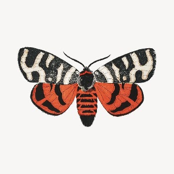 Butterfly clip art, vintage insect | Free PSD Illustration - rawpixel