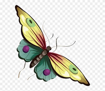 Butterfly - Clipart Best - Butterfly Png Transparent Cartoon