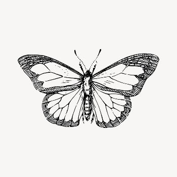 Butterfly  clipart, vintage hand | Free Vector - rawpixel