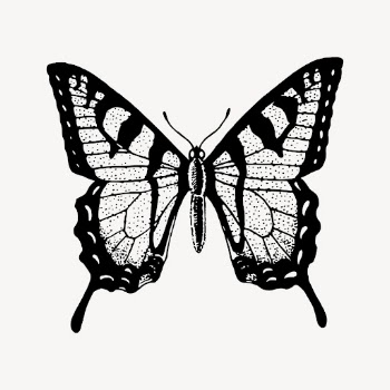 Butterfly clipart, vintage insect illustration | Free Vector - rawpixel