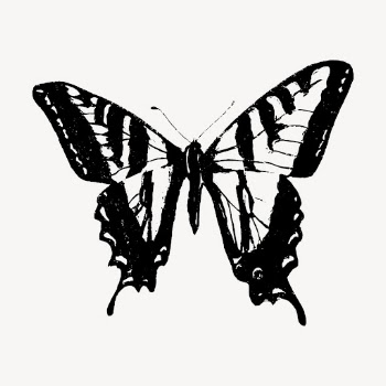 Butterfly clipart, vintage insect illustration | Free Vector - rawpixel