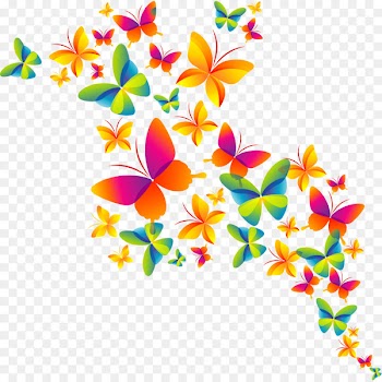 Butterfly CMYK color model - happy holi 