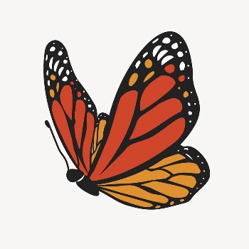 Butterfly collage element, cute cartoon | Free Vector Illustration - rawpixel
