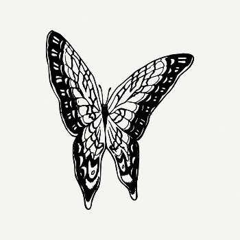 Butterfly collage element, vintage illustration | Free PSD Illustration - rawpixel