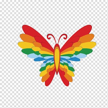 Butterfly , color butterfly transparent background PNG clipart