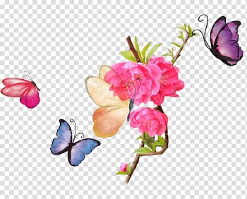 Butterfly , Colorful butterfly transparent background PNG clipart
