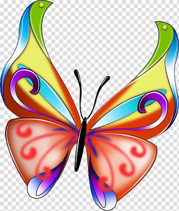 Butterfly , Colorful butterfly transparent background PNG clipart