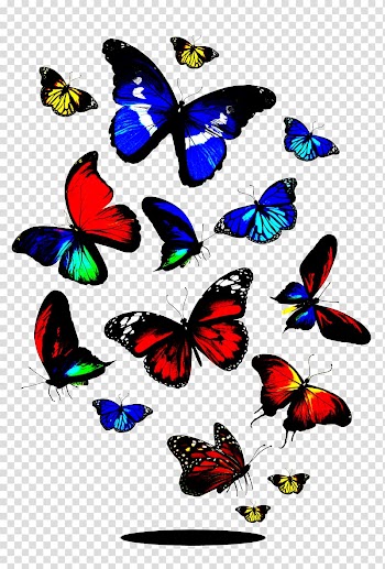 Butterfly , Colorful Butterfly transparent background PNG clipart