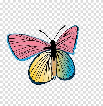 Butterfly , colorful butterfly transparent background PNG clipart