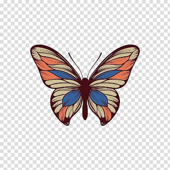 Butterfly, colorful butterfly transparent background PNG clipart