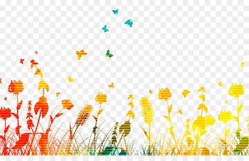 Butterfly - Colorful grass 
