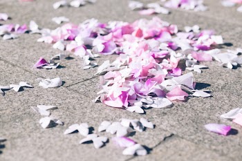 Butterfly confetti