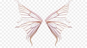 Butterfly - Creative pink butterfly wings PNG 