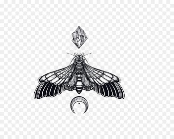 Butterfly Death's-head hawkmoth Sacred geometry - Tattoo design 