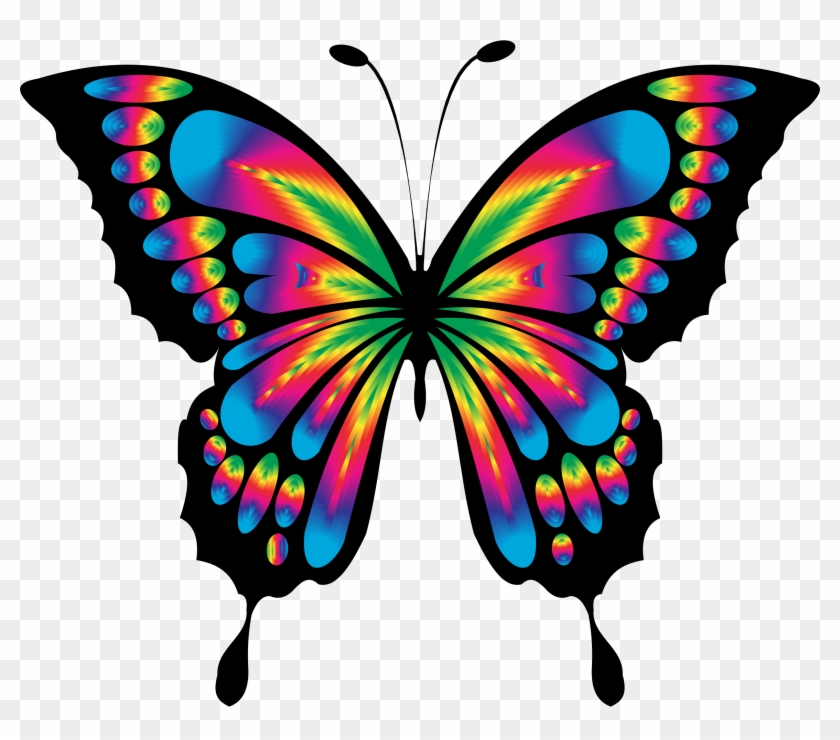 Butterfly - Dibujos De Mariposas A Color