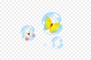 Butterfly Download - Bubble,butterfly 