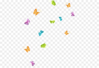 Butterfly Download - Colorful butterfly 