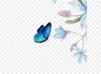 Butterfly Download Computer file - Beautiful flowers 