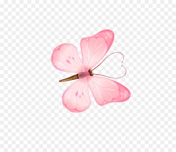 Butterfly Download Icon - Pink Butterfly 