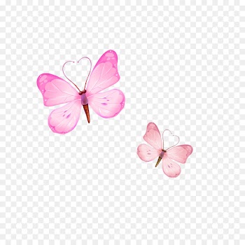 Butterfly Download - Pink Butterfly 